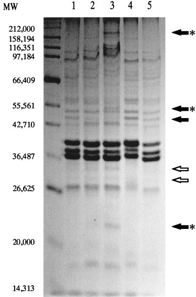 FIG. 8