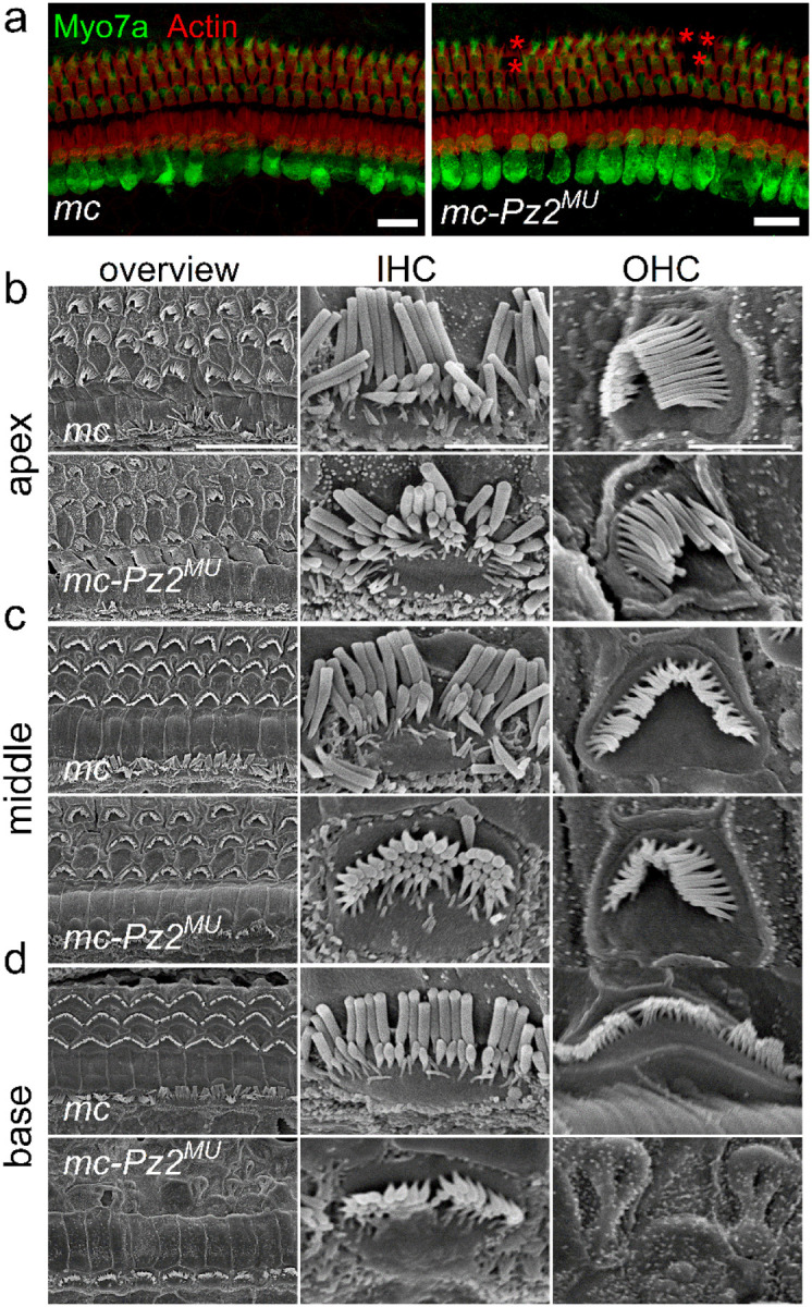 Figure 6.