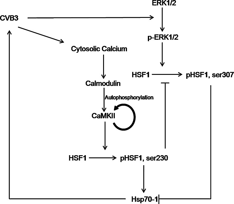 Fig. 8