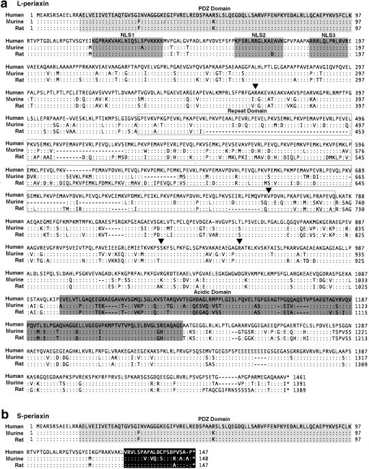 Figure  2