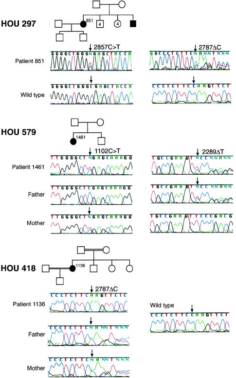 Figure  3