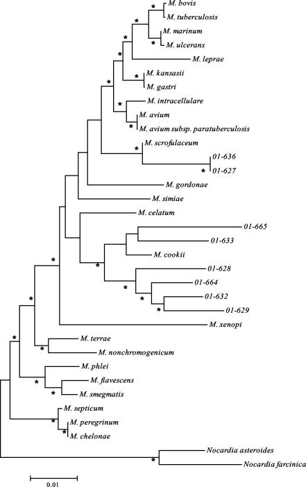 FIG. 6.