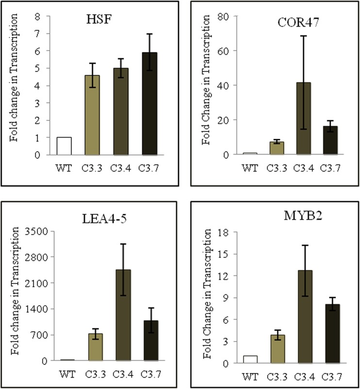 Fig. 11