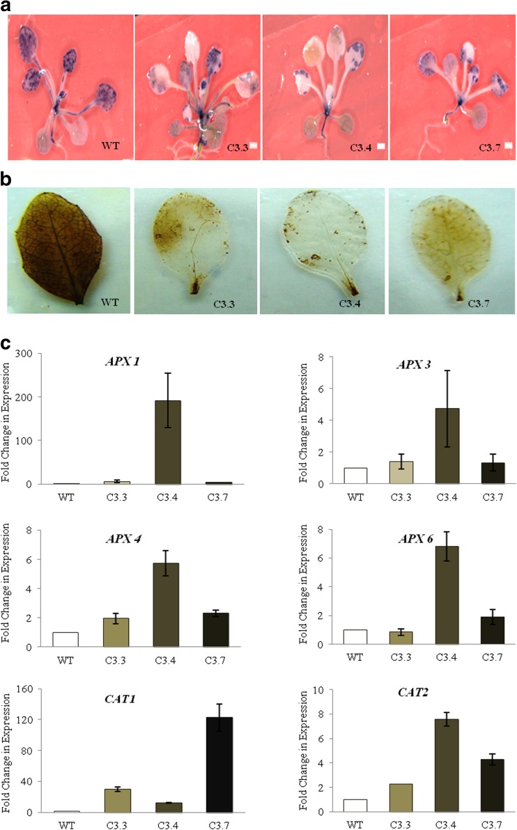 Fig. 9