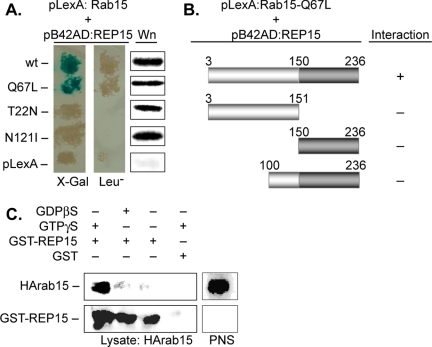 Figure 2.