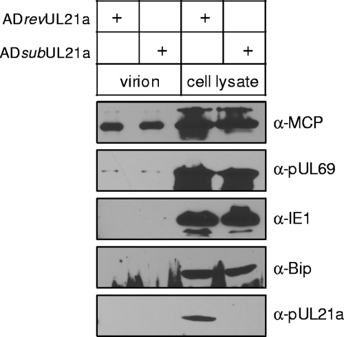 FIG. 7.