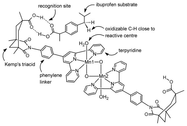 Scheme 3