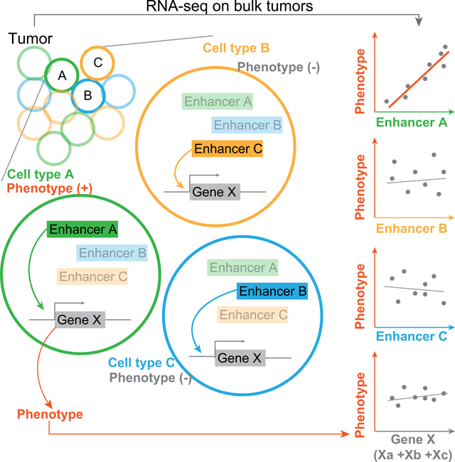 graphic file with name nihms-1627786-f0008.jpg