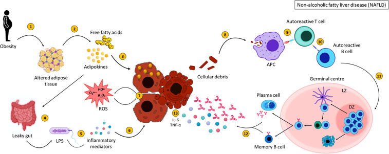 Figure 4