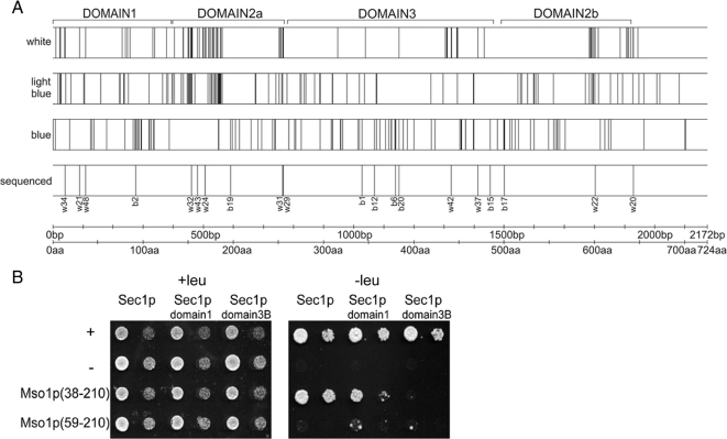 Figure 3.