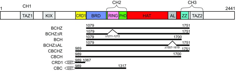 Fig. 2.