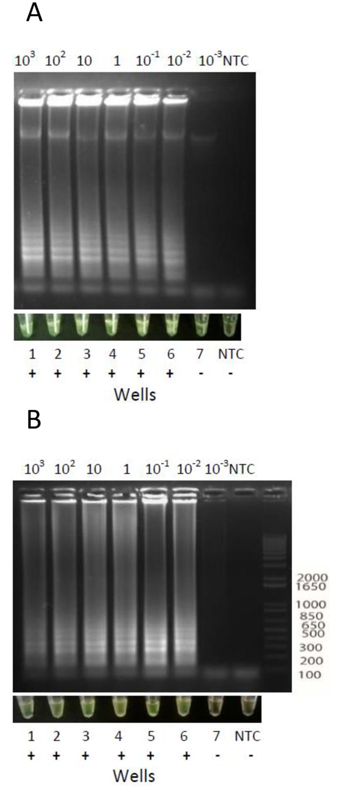 Fig 4