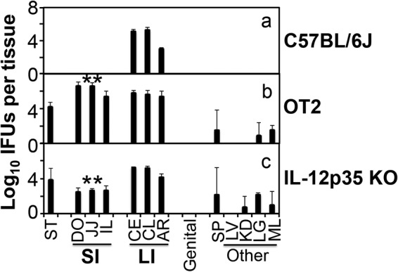 FIG 6