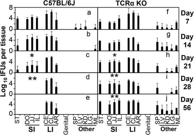 FIG 2