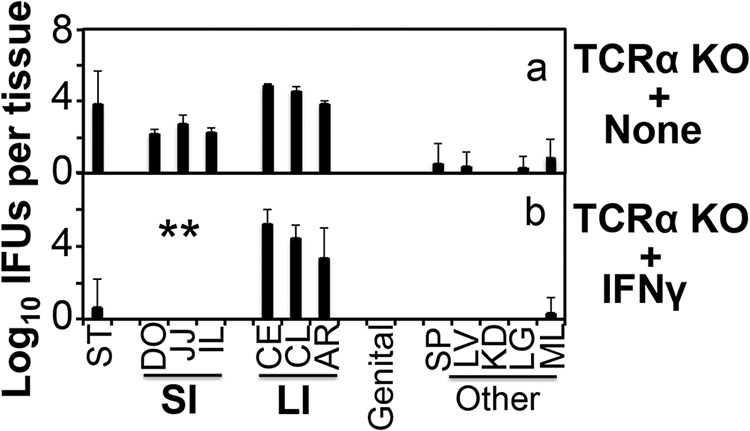 FIG 5