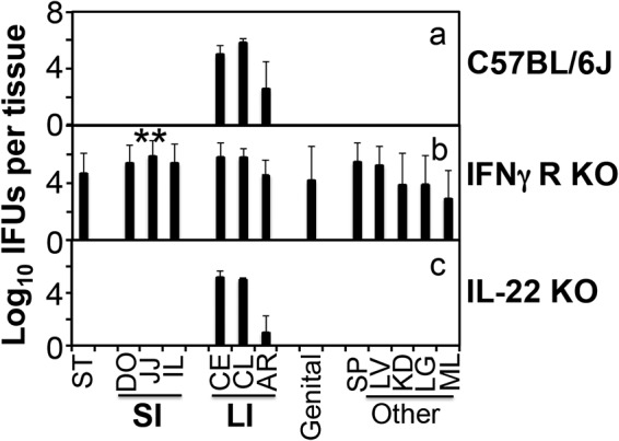 FIG 4