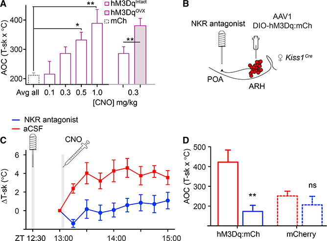 Figure 4.