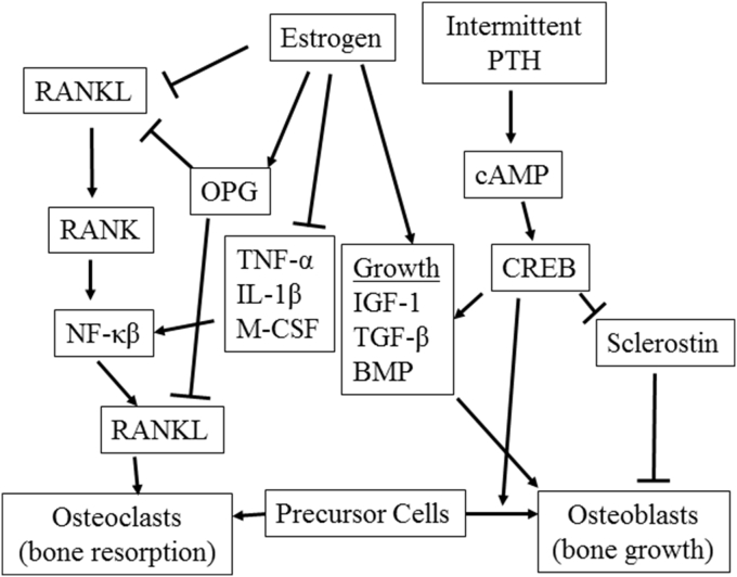 Fig. 1