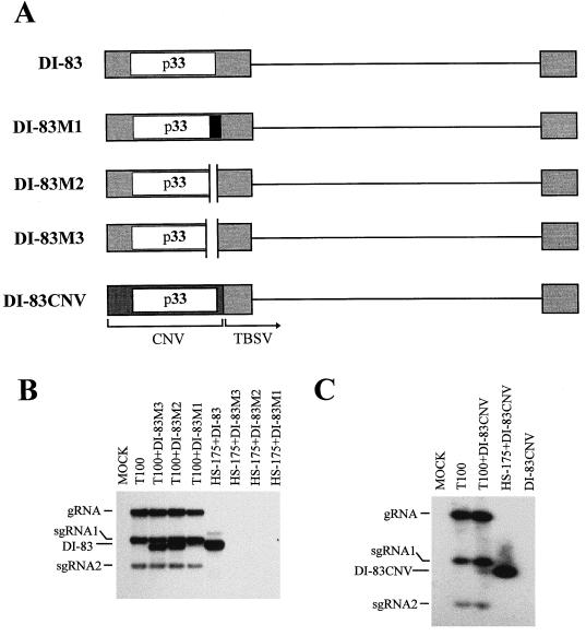 FIG. 6