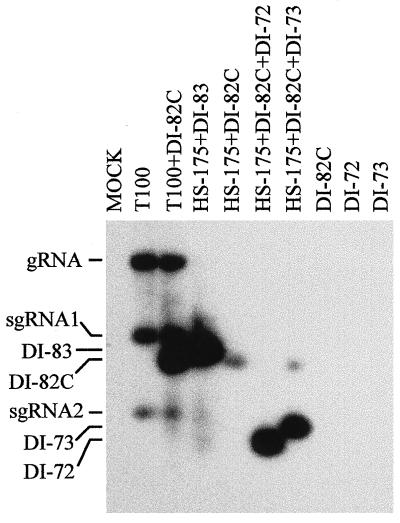 FIG. 5