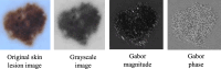 Fig. 13