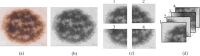 Fig. 10