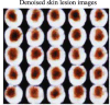 Fig. 19