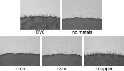 FIG. 5.