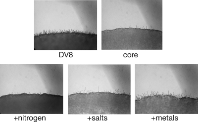 FIG. 4.