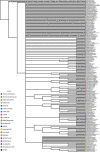 Figure 1—figure supplement 4.