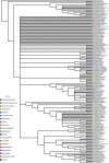 Figure 1—figure supplement 7.