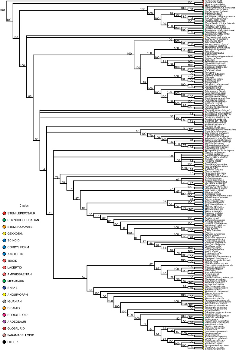 Figure 1—figure supplement 5.