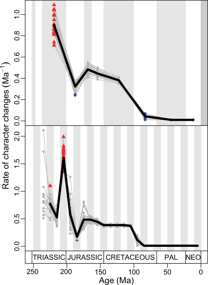 Figure 4—figure supplement 13.