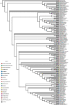 Figure 1—figure supplement 6.