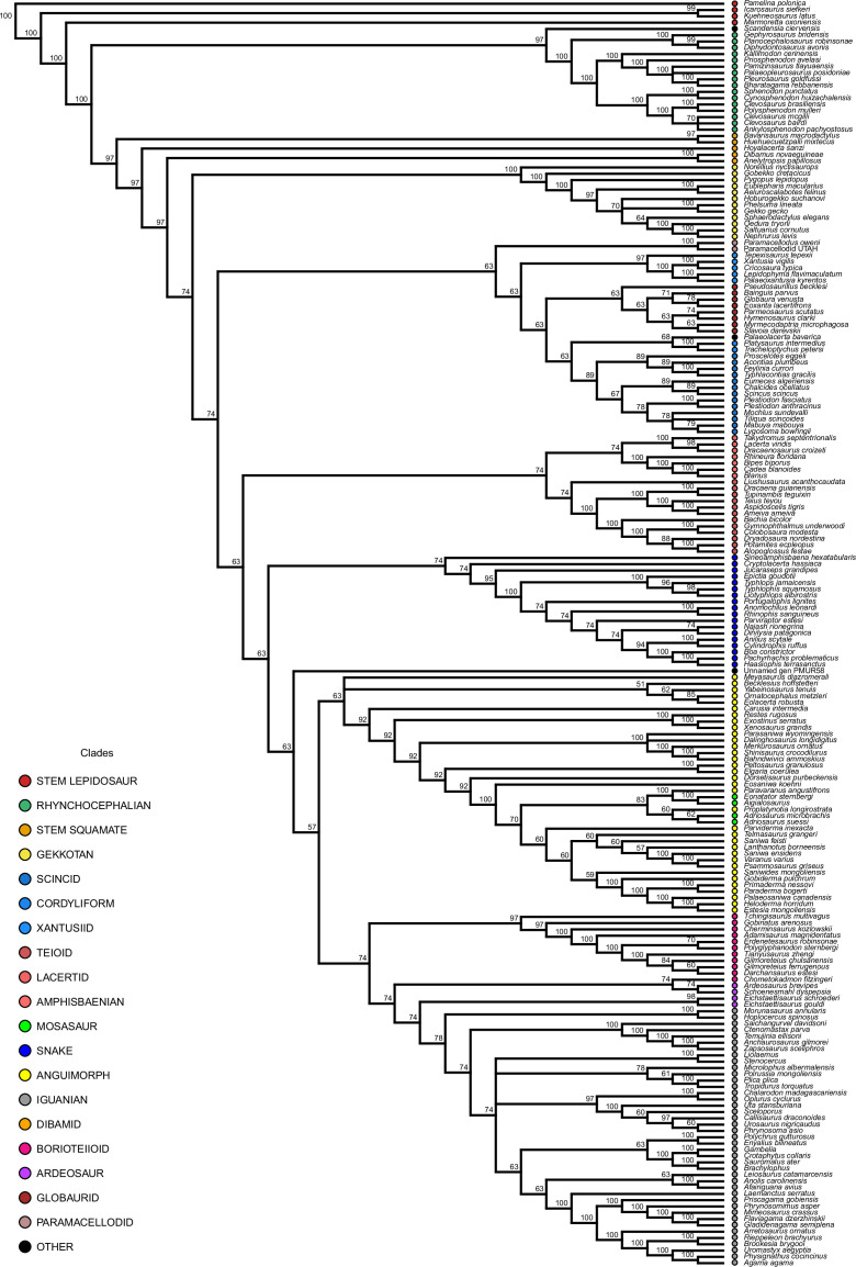 Figure 1—figure supplement 2.