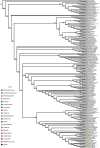 Figure 1—figure supplement 5.