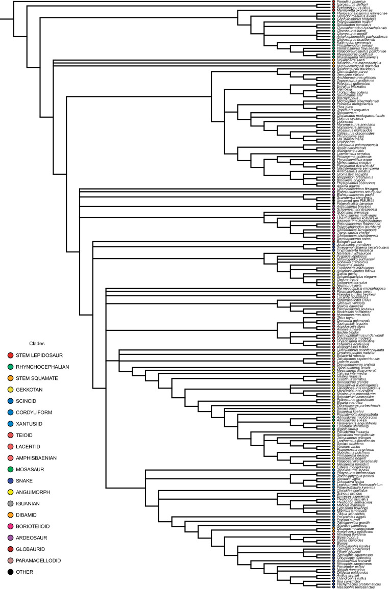 Figure 1—figure supplement 6.