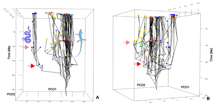 Appendix 3—figure 1.