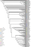 Figure 1—figure supplement 3.