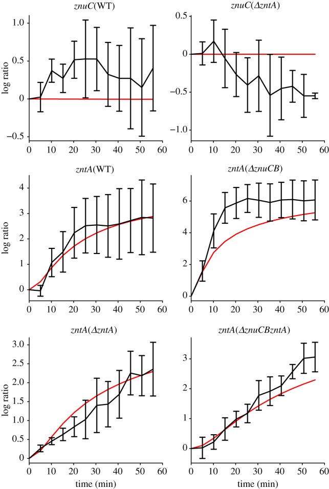 Figure 5.