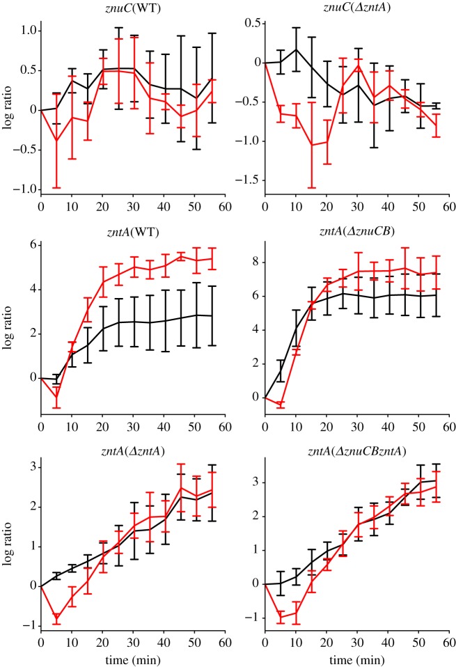 Figure 2.