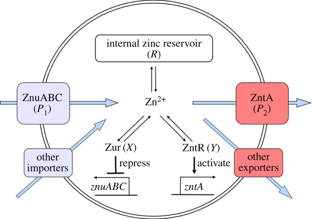 Figure 3.