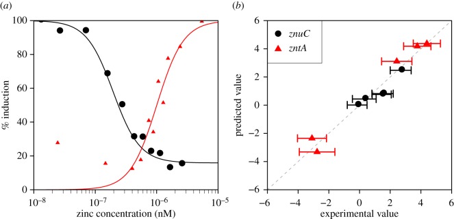 Figure 4.