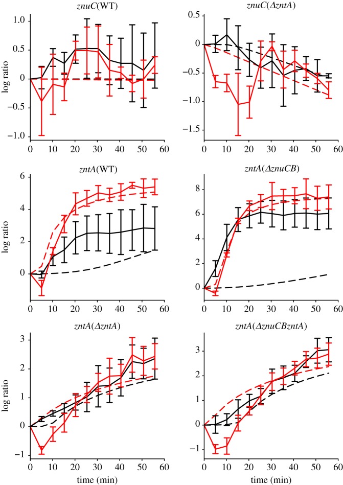 Figure 6.