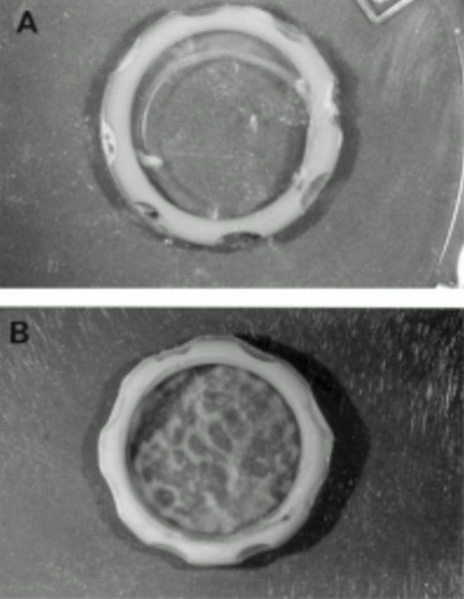 Figure 1  