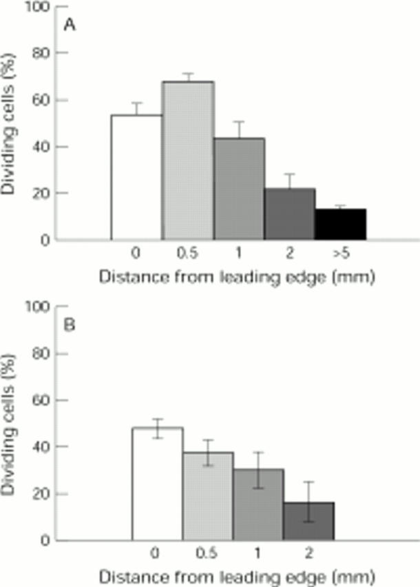 Figure 4  