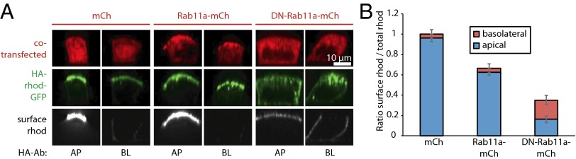 Fig. 3.