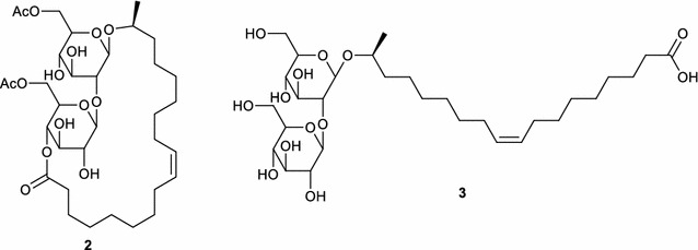 Scheme 2