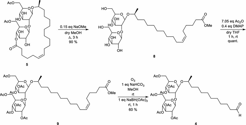 Scheme 6