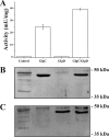 FIG 1